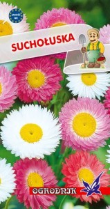 Suchołuska ogrodowa mieszanka 1g  / O /