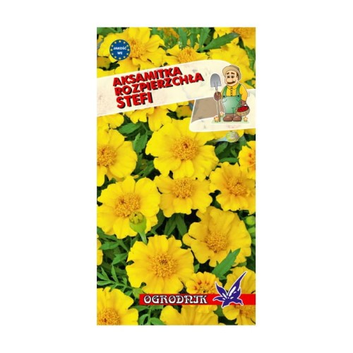 Aksamitka rozpierzchła Stefi 1g  / O /