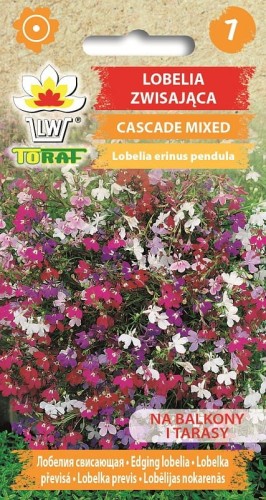Lobelia zwisająca Cascade Mixed 0,1g  / T /