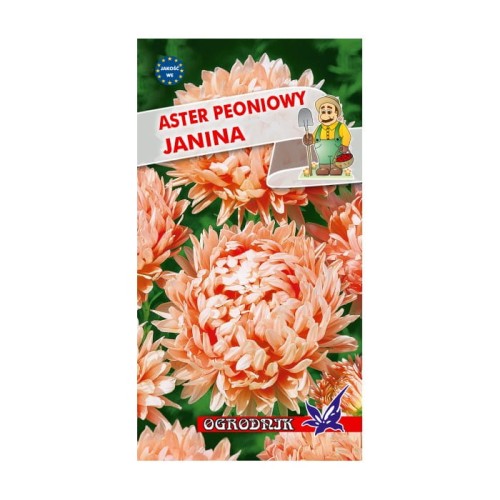 Aster peoniowy Janina 1g  / O /