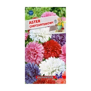 Aster chryzantemowy mieszanka 1g  / O /
