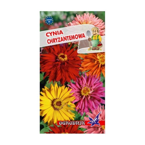 Cynia chryzantemowa mix 1g  / O /
