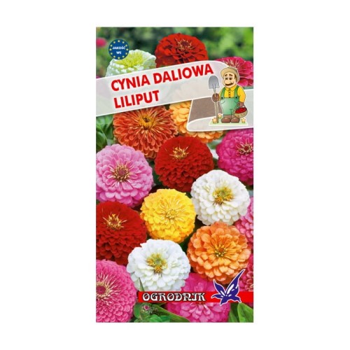 Cynia daliowa Liliput mix 1g  / O /