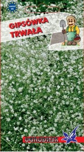 Gipsówka trwała 0,4g  / O /