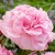 61149_57089