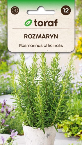 Rozmaryn nasiona 0,1g  / T /