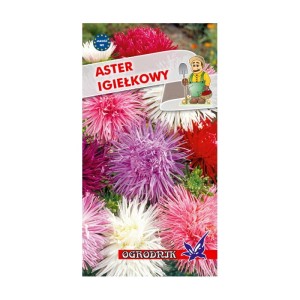 Aster igiełkowy mieszanka 1g  / O /