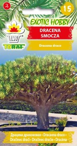 Dracena smocza nasiona 5 szt. / T /