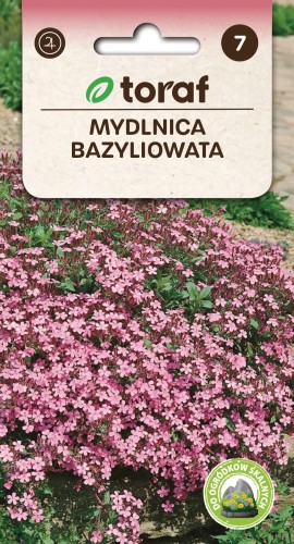Mydlnica bazyliowata nasiona 0,5 g  / T /