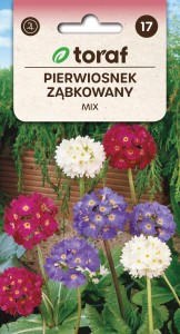 Pierwiosnek ząbkowany mix nasiona  0,1g  / T /