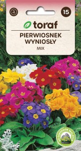 Pierwiosnek wyniosły mix nasiona  0,1g  / T /