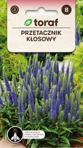 Przetacznik kłosowy nasiona  0,1g  / T /