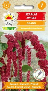 Szarłat zwisły Grand nasiona 0,5 g  / T /
