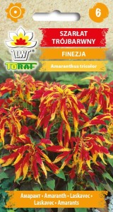 Szarłat trójbarwny Finezja nasiona 0,2g  / T /