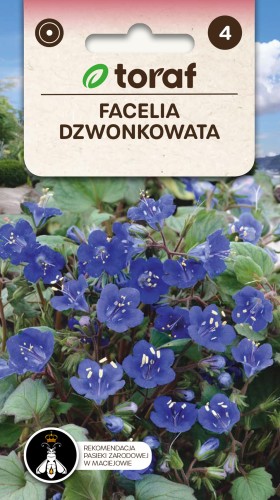 Facelia dzwonkowata nasiona 0,5g  / T /