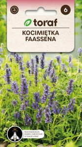 Kocimiętka Faasena nasiona  0,2 g  / T /