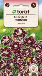 Goździk chiński Chianti nasiona 0,1g  / T /