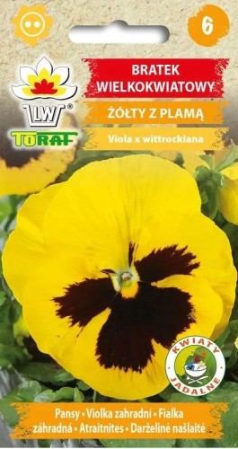 Bratek wielkokw.żółty z plamą  nasiona 0,2g  / T /