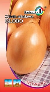 Cebula Globo nasiona 1g  / L /