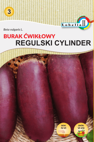 Burak ćw.Regulski Cylinder nasiona 10g  / L /