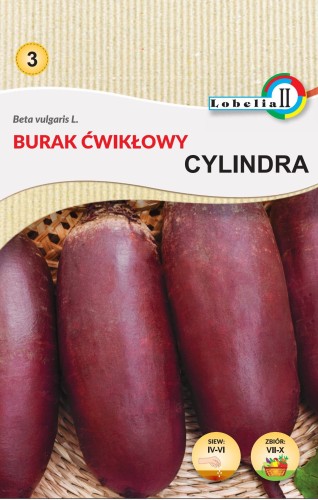 Burak ćw.Cylindra nasiona 10g  / L /