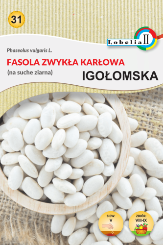 Fasola Igołomska na suche nasiona 20g  / L /