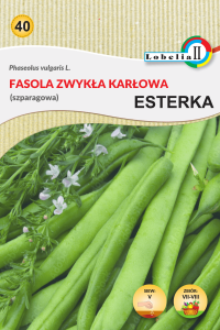 Fasola zwykła karłowa Esterka nasiona 40g   / L /