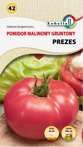 Pomidor malinowy Prezes nasiona 0,5g  / L /
