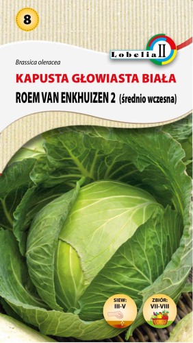 Kapusta Roem Van Enkhuizen 2 nasiona  2g  / L /
