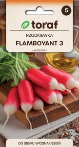 Rzodkiewka Flamboyant 3 nasiona 5g  / T /