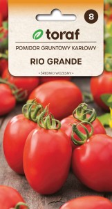 Pomidor gruntowy  Rio Grande nasiona  0,5g  / T /