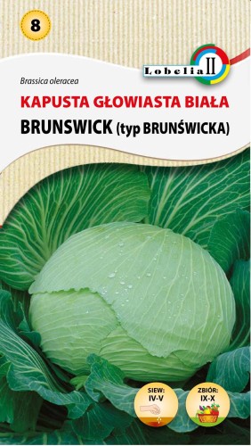 Kapusta Brunswick nasiona 2g  / L /