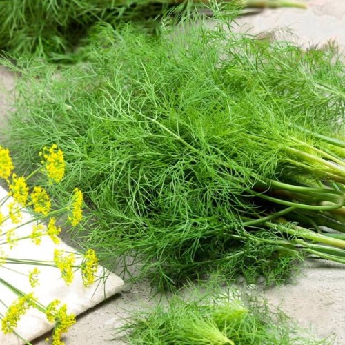 Koper Lukullus nasiona 100g  / L /