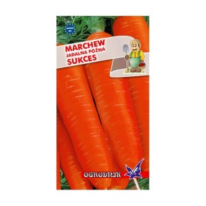 Marchew Sukces późna nasiona  5g  / O /