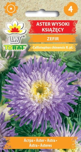 Aster wysoki książęcy Zefir nasiona 1g  / T /