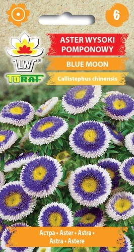 Aster wys.pomponowy Blue Moon nasiona 0,5g  / T /