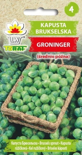 Kapusta brukselska Groninger nasiona 2g  / T /