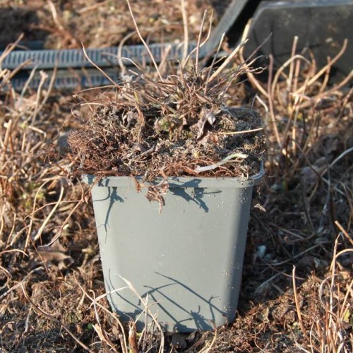 61734_57873