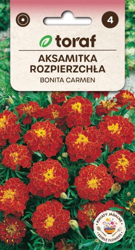 Aksamitka rozpierzchła Bonita Carmen 1g  / T /