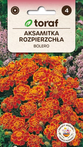 Aksamitka rozpierzchła Bolero 1g  / T /