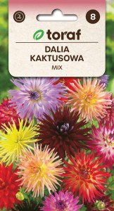 Dalia kaktusowa mix 0,5g  / T /