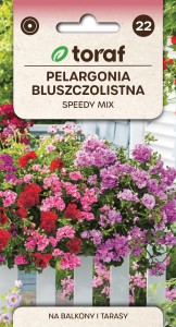 Pelargonia zwisająca Speedy mix 10 szt.  / T /