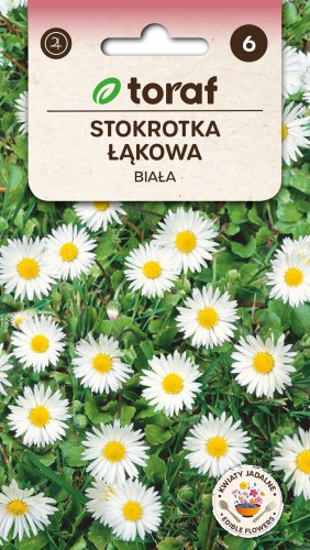 Stokrotka łąkowa biała 0,2g  / T /