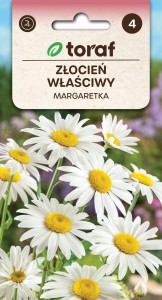 Złocień właściwy Margaretka 1g  / T /