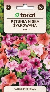 Petunia niska żyłkowana  0,1g  / T /