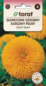 Słonecznik ozdobny pełny Teddy Bear 2g  / T /