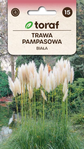 Trawa pampasowa biała 0,1g  / T /