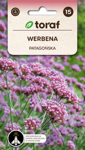 Werbena patagońska 0,2g  / T /