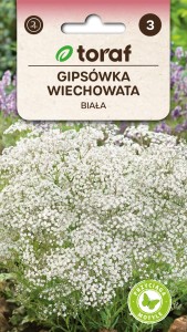 Gipsówka wiechowata biała 0,5g  / T /