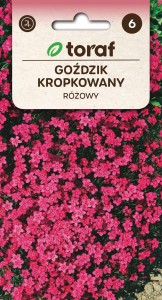 Goździk kropkowany różowy 0,3g  / T /